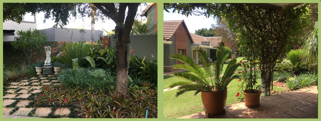 Another garden view