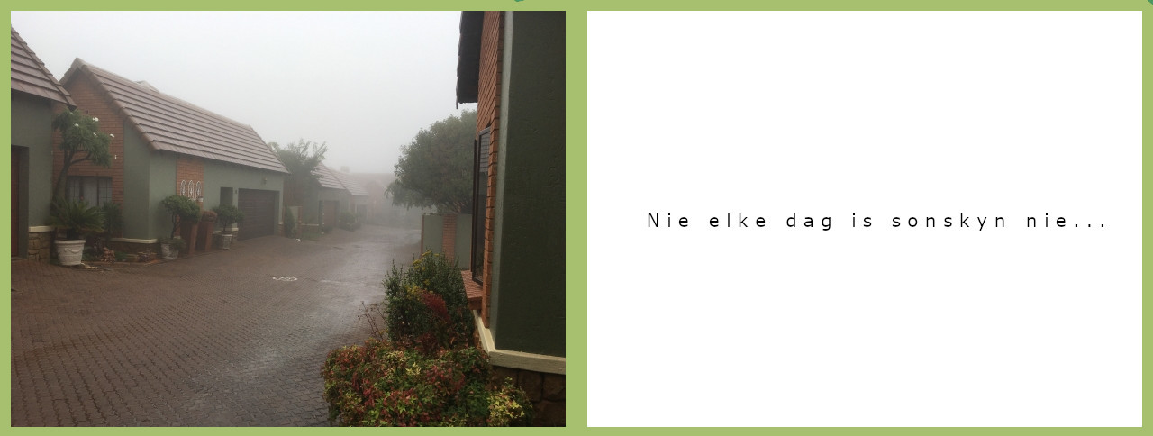 Rainy day at Olive Crescent